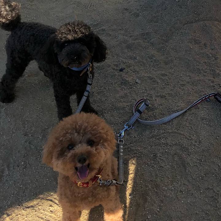 Edc324ad 2a20 4b51 876d 1901fc5134f4 1598510142956