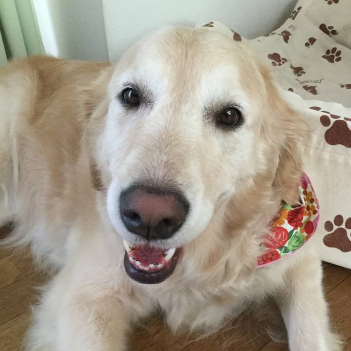 Edc344e8 2401 4a83 a904 4e27dd65ba99 1531107723359