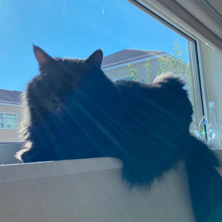 Edc34ae9 1d51 4e92 8d3a c144961794db 1603883143896