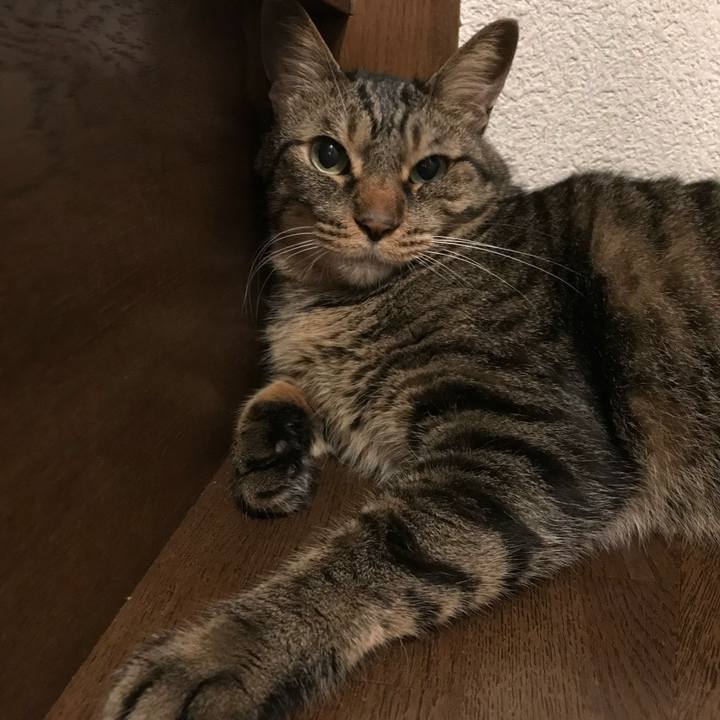 Edc354fb 8d50 4f08 b2f2 be47dc51e01e 1686056745789