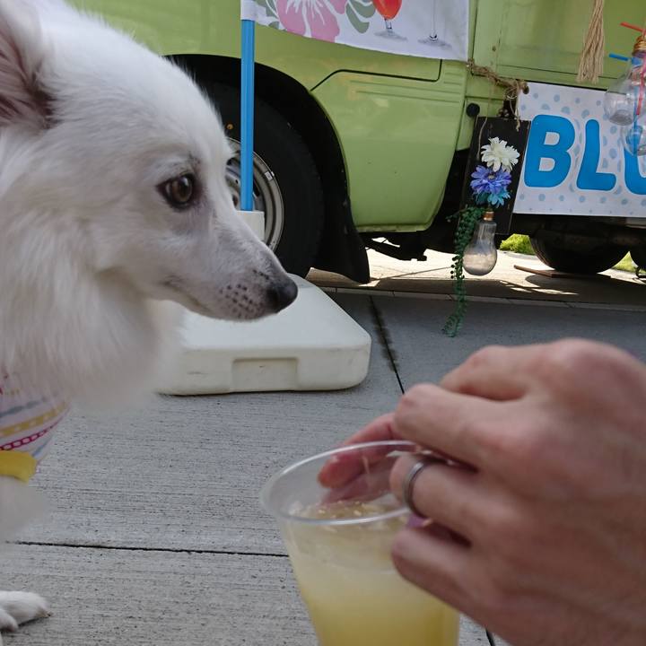 Edc35f47 c9d2 40c0 9a75 98ce62926be4 1539508781851