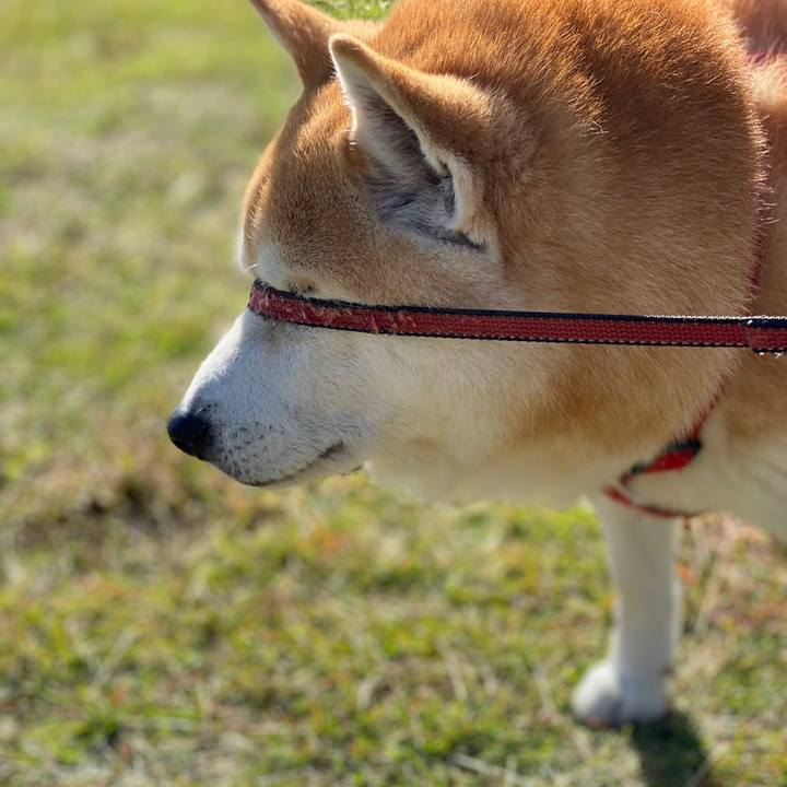 Edc3e3d0 b620 4798 8502 4811692583fb 1615082151344