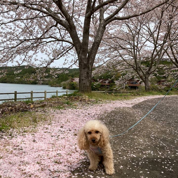 Edc40d80 e562 4ce7 96bf 9c2758e0b0c6 1680327371570