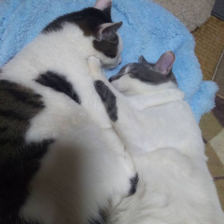 Edc41a5c d25d 4ac2 bf28 7d32dc95acfa 1519310024718