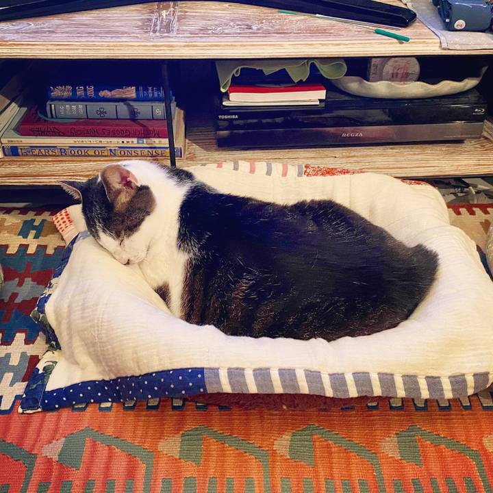 Edc41eee 6bc3 4cd3 ac46 d6357661385b 1589726272855