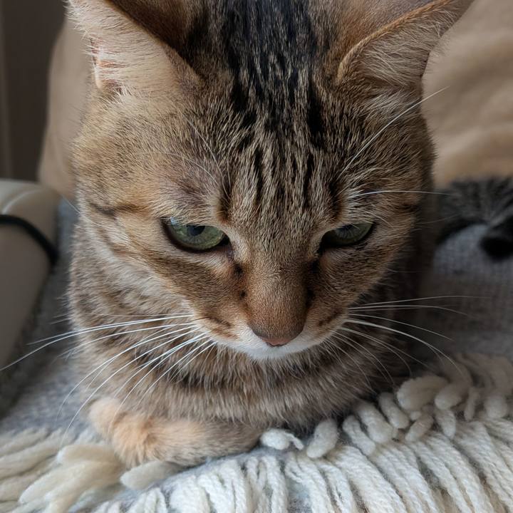 Edc442c7 a8eb 4b32 82b6 187a85362044 1772706101751