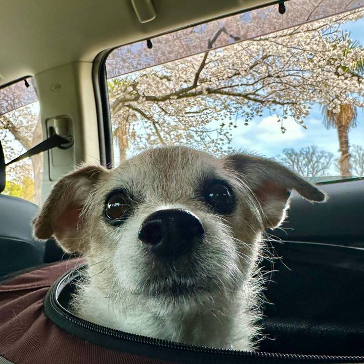 Edc46641 518f 4983 b32c 497517596ece 1712485303661