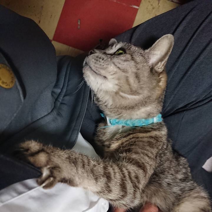 Edc4a86d 7811 4c08 a6a4 3aa960e03e78 1558394986666