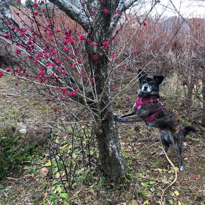 Edc4b890 b789 4631 bea8 a3d3b7eccdf6 1644937103658