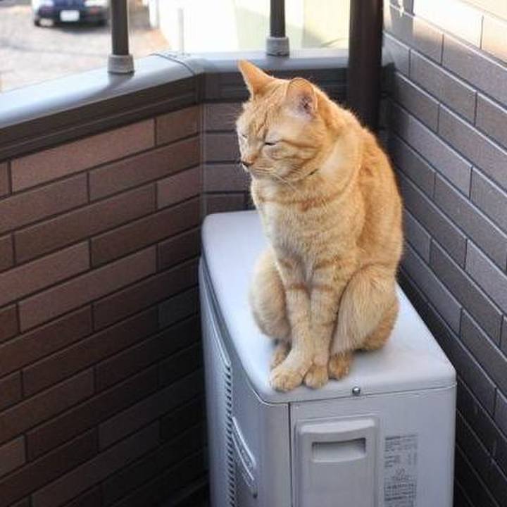 Edc4f3d5 9e15 4f46 b0c0 eed48903c8cb 1764201142021