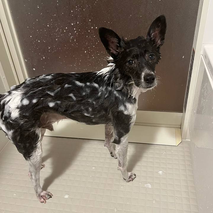 Edc50d96 e5c5 4438 b65b 6f05eedbda43 1694521666377