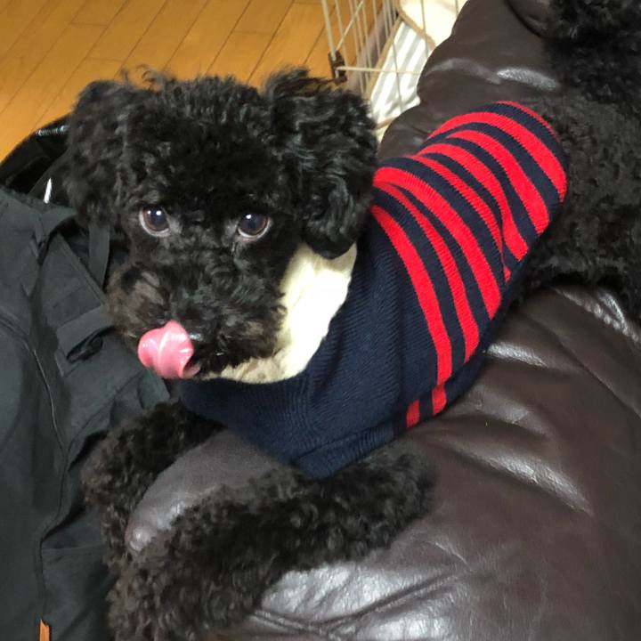 Edc52da3 089e 444c 9b50 0b987630688b 1512653311944