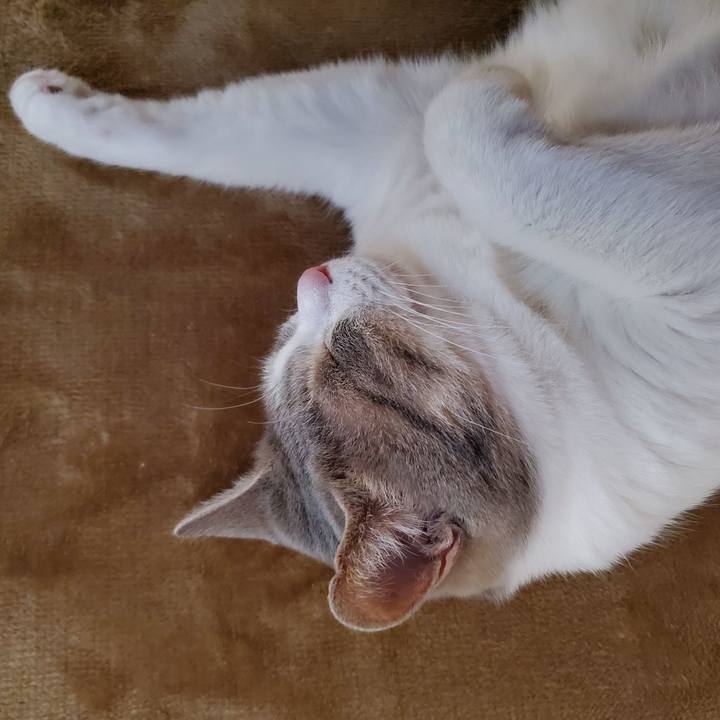 Edc53bd3 db13 4e73 afbf a5af25084613 1710594648195