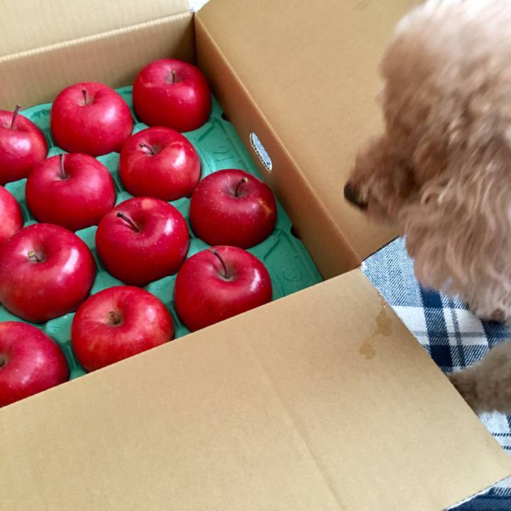 Edc55957 0618 4478 94cd e26f04aebcd2 1509679854872