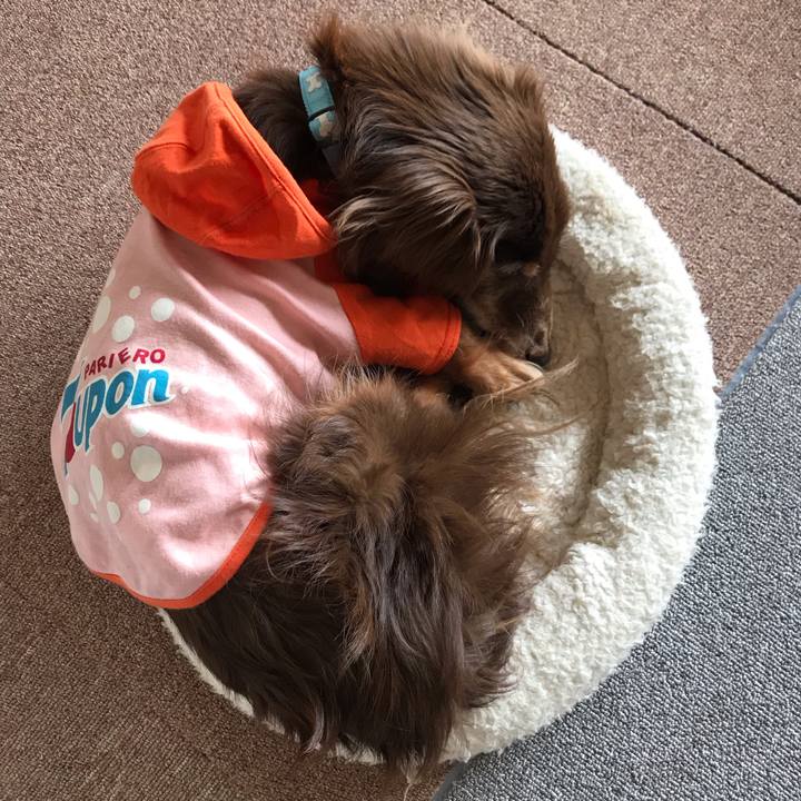 Edc58b22 1318 47cd 99f8 de43a48de671 1585269394353