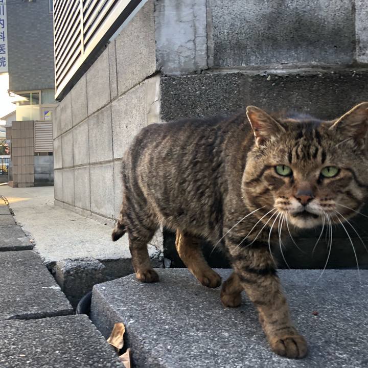 Edc5fabc 5093 4f95 afb0 2cc6da7aac3f 1580977507721