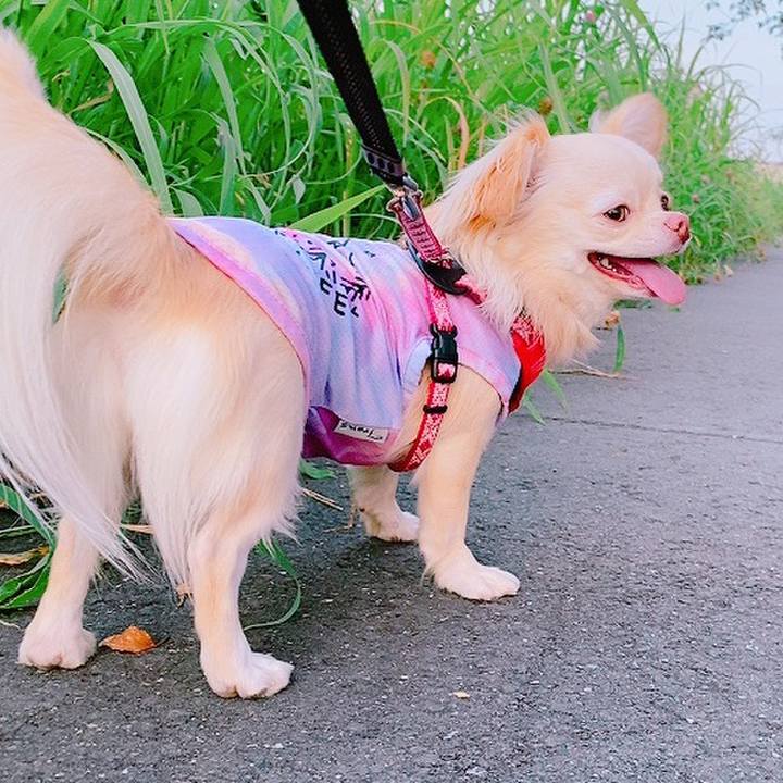 Edc60448 fb93 4e1f 8038 1d21af13237e 1627293592214