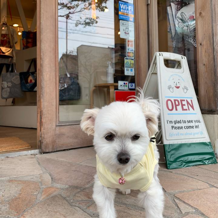 Edc60e25 d1ba 4c5d 92d6 07b7f705df69 1649923218380