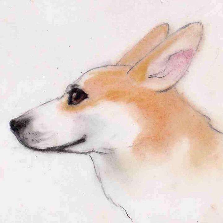 Edc659ad 3404 4531 9f16 8eacff6a7a77 1634091213777