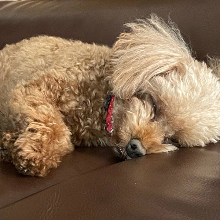 Edc65bfe 7ef6 46f6 a8f8 27b97104f249 1685253923284