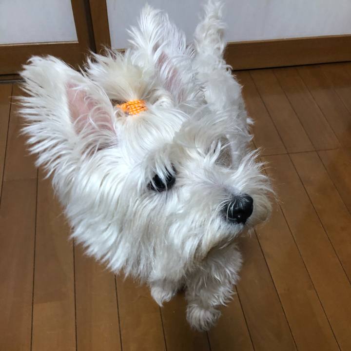 Edc673a6 dcaf 4e1f adca 7a3eee53bc83 1587105105823