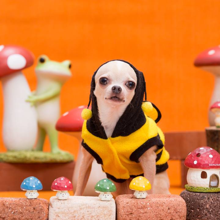 Edc686aa dfb9 4cd6 a097 61a4cb1bcfbf 1509249087305