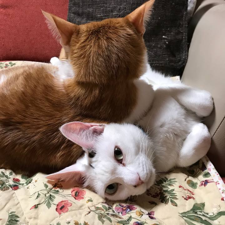 Edc68f70 153d 406b 95ee 881ebb160da4 1521903953219