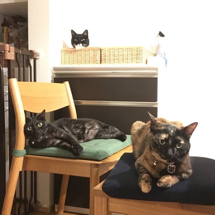 Edc6988d fbe5 4f82 8e3d ed25cfe3983c 1530446677285