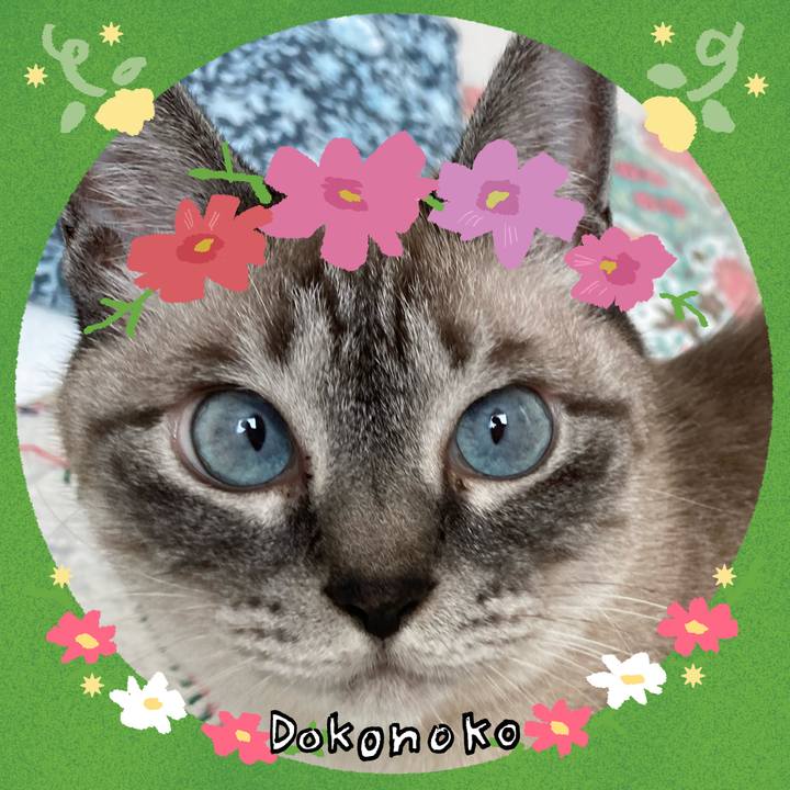 Edc6b93d a9b6 445a bdd1 5b483389fb06 1726803290718