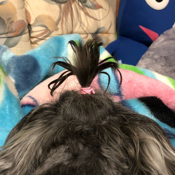 Edc6d509 87db 41d7 a39c f08190a9388e 1528638199346