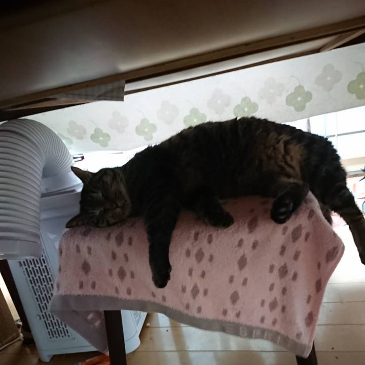 Edc7106a c77c 41e0 8b24 b8f571d19430 1639516624911