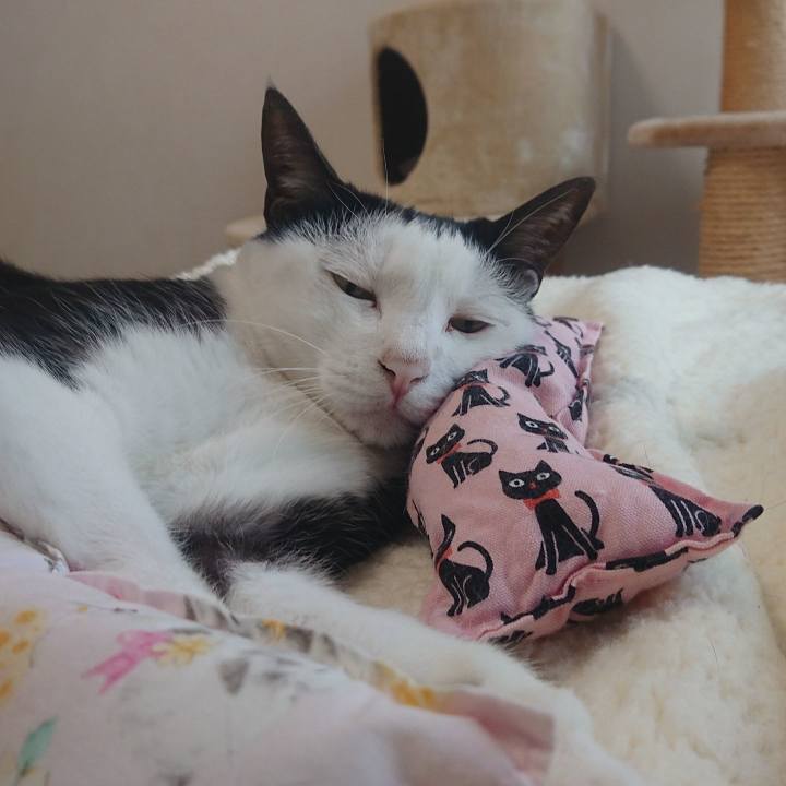 Edc72d9d 6781 4794 bac3 7fe989e236da 1565958428893