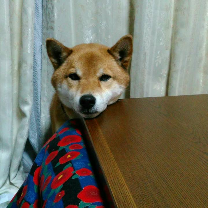 Edc73f58 b7d8 47bb 96f7 2220ff5837cf 1521036190889