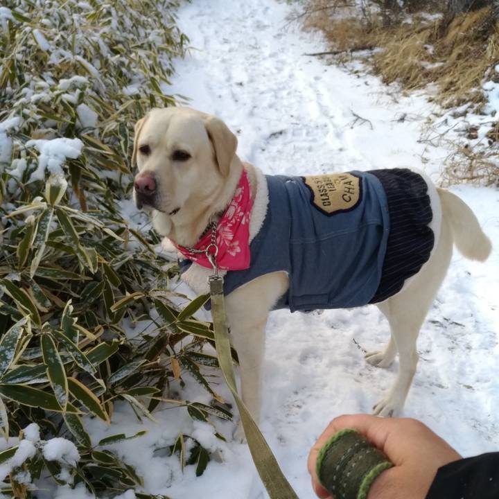 Edc74e1d 13a4 4ccb 8e46 e78068fa82d5 1626769543256