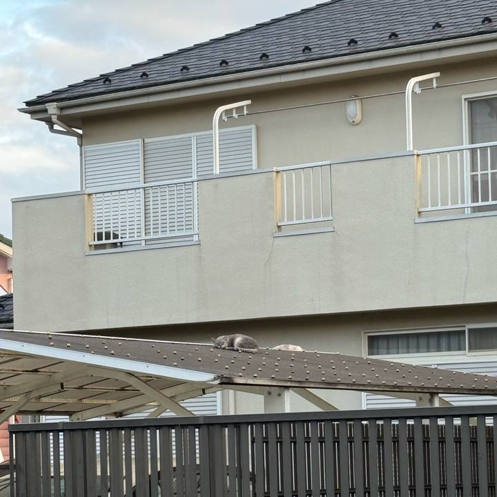 Edc76464 7819 46e5 b6b9 abc50fe4778d 1757990371503