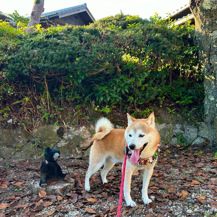 Edc7751b fc19 4dfd a8d1 f094b2b8de01 1728990326217