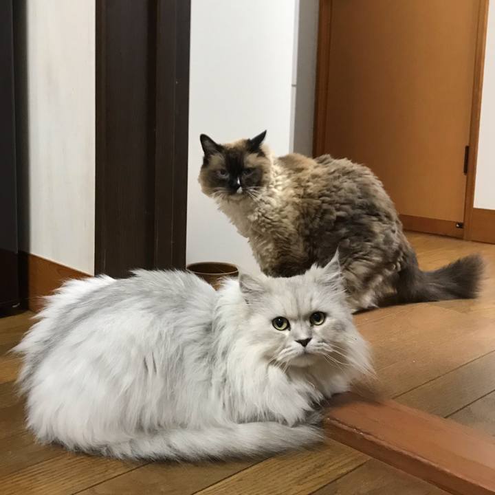 Edc7d102 518b 43ea 92ac f0480df30cc2 1560592514882