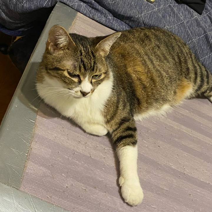 Edc7d1c7 61f4 42a8 bb49 d1d4b01bc2cc 1659016369909