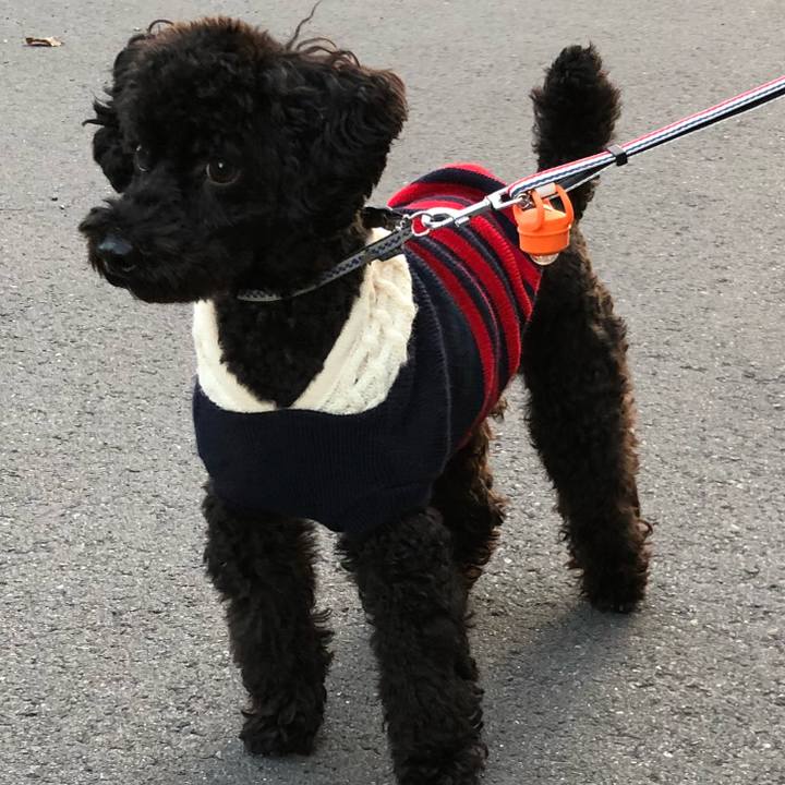 Edc7f527 c80a 404f 9cee 5f15e8631684 1543136354543