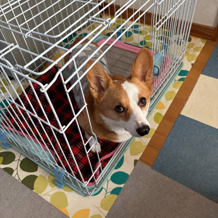 Edc82029 0b42 44c2 8dfa e0c348c65931 1764545201847