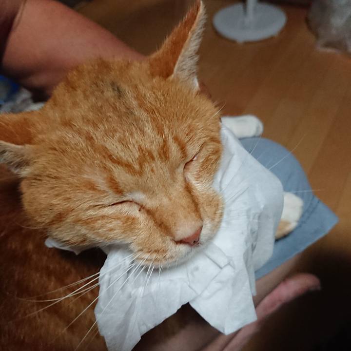 Edc8a644 94a0 49be 8600 659e9d7da969 1599737678569