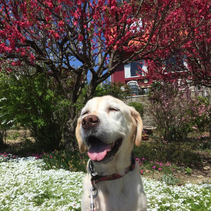 Edc8c8c9 d127 4a45 93d5 06a498493eba 1548510753453