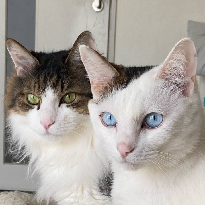 Edc8d0d2 e1b9 438e 8d43 235f9c65b111 1733042747093