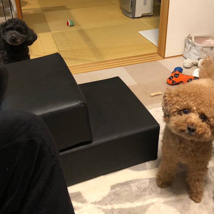 Edc8dfe9 486f 4c43 8a5e e2c9e13b6c1b 1606029824417