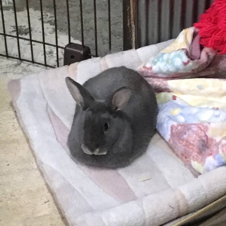 Edc8e13e 49b6 435c ac26 acc0977c6de0 1513919660794