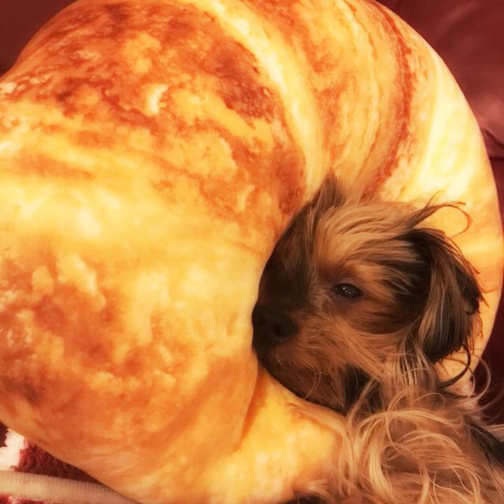 Edc90677 3a89 4edc 806b febb19204348 1511784918227