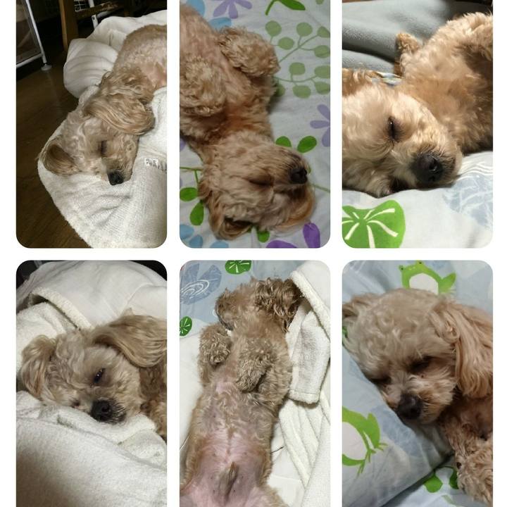 Edc9130b b929 4831 b550 8b21c68bc9d3 1527770395286