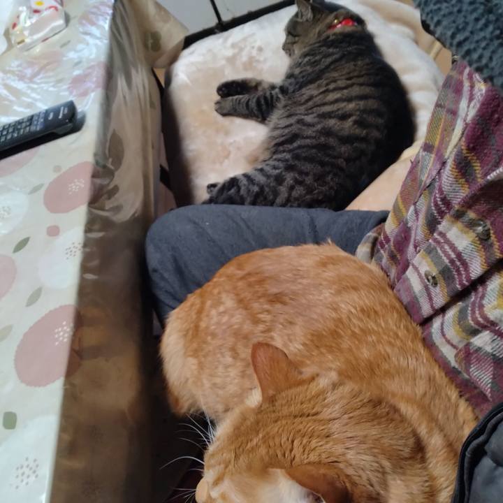 Edc95602 6723 4941 ac18 67f32e6a9537 1704756295257