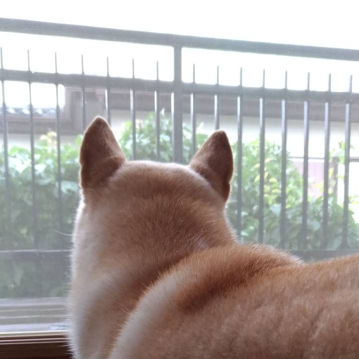 Edc97db3 57ee 41fd a63f 95ae788361fe 1593775087516