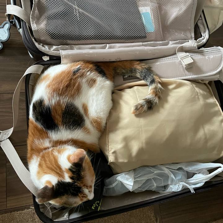 Edc9c4a6 30f9 428c 9d4c 5688c9a06dcc 1657960797763